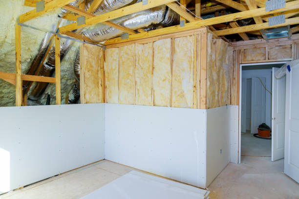 Best Geographic-Specific Insulation Services in South Daytona, FL