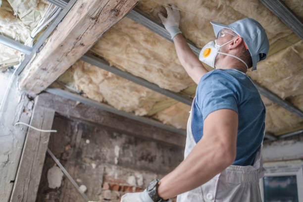 Professional Insulation Contractor in South Daytona, FL