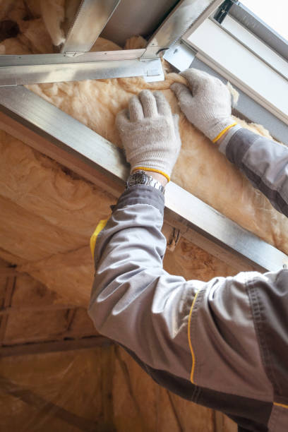 Best Residential Insulation in South Daytona, FL