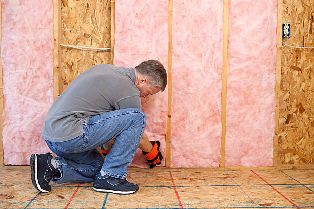 Best Spray Foam Insulation in South Daytona, FL