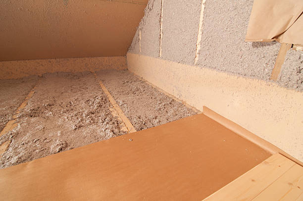 Best Specialized Insulation Services in South Daytona, FL