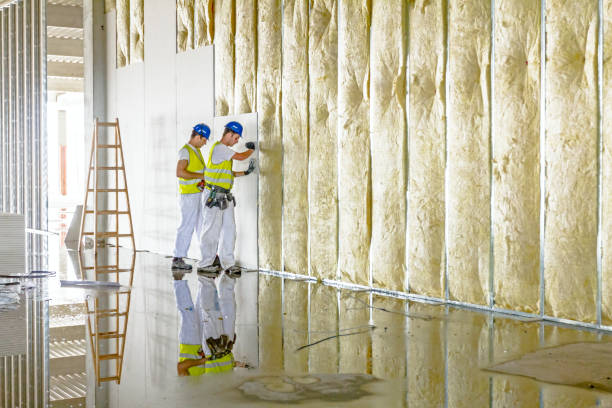 Best Spray Foam Insulation in South Daytona, FL